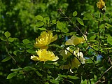 1_DSC00001.JPG