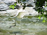 9_DSC00136.JPG